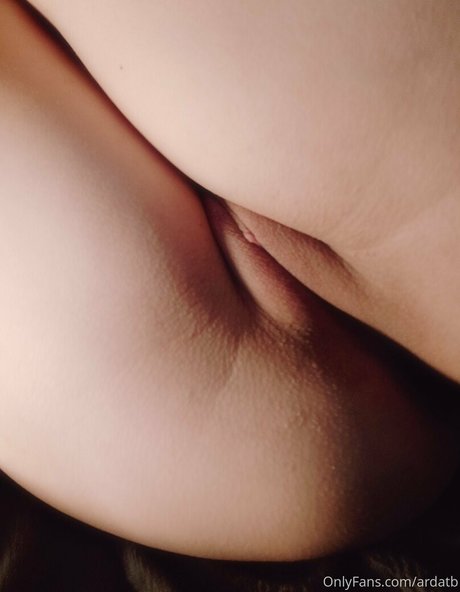 ardatb hd porno archiv