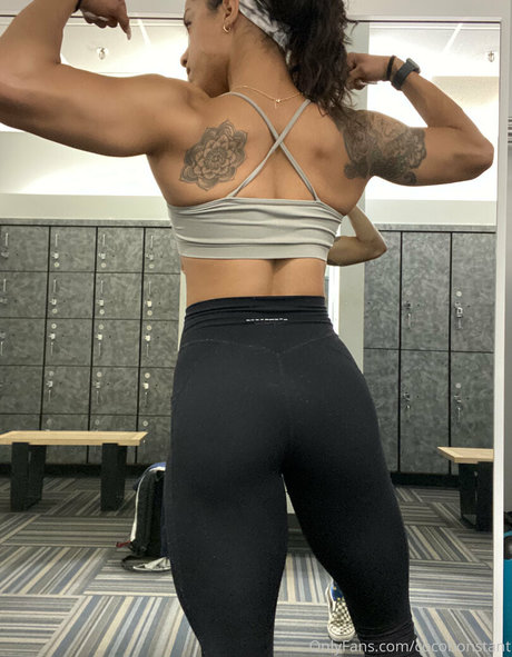 cocofreda freie perfekte fotos