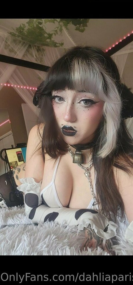 dahliaparisi model beste bilder