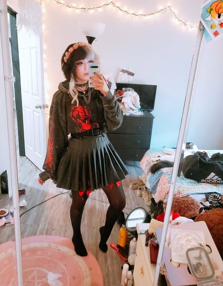 dahliaparisi hübsche freie bild