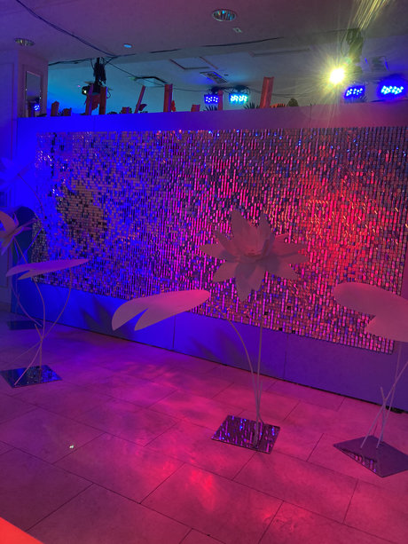 Sophia Banks hübsche perfekte bilder