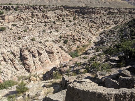 elTigre00 pornostar heiße foto