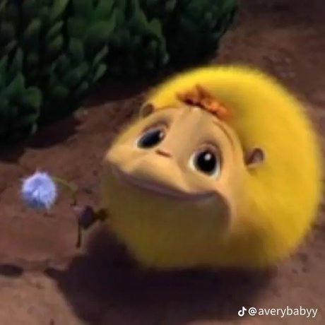 miss hollywood_ pornostar hübsche galerie