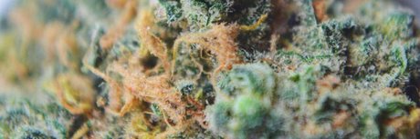 arabische onlyfans hd nackte bild