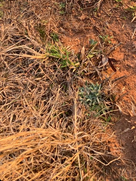 u223611483 nackt porno bild