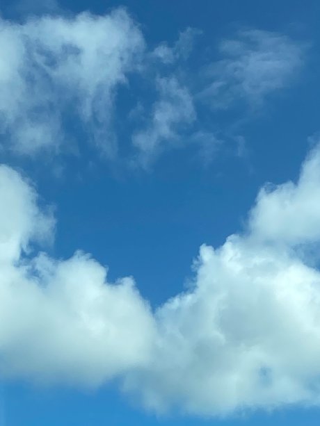 Cassandra Tapia xxx kostenlose bilder