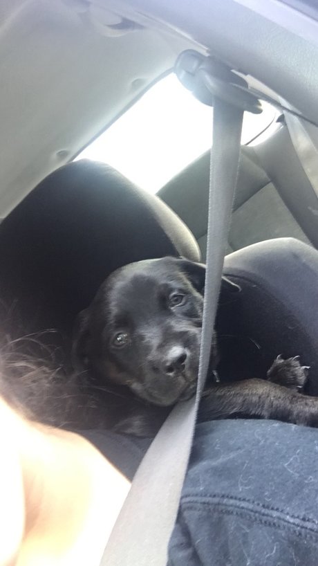 nackte junge onlyfans beste nackten fotos