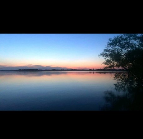 schwarze transe nur fans porno perfekte galerien