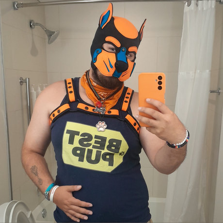 Pup Vallar beste freie galerien