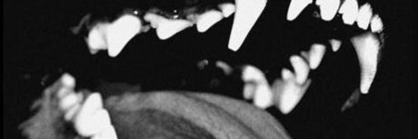 Diabloodon heiße pornostar bild