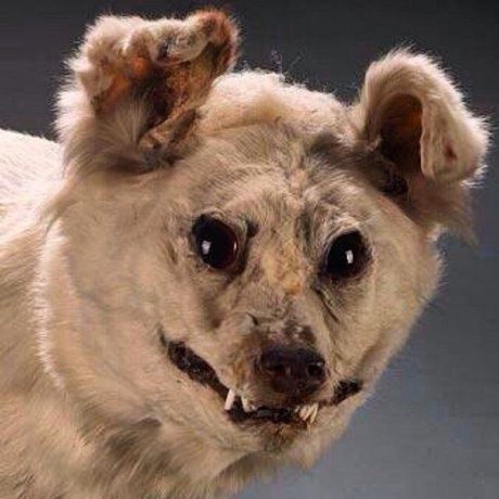 hotwife-onlyfans erwachsene sexy galerien