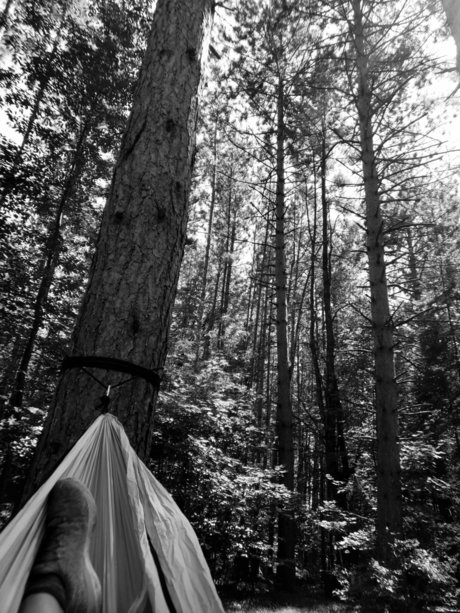 Nikki Starz heiße nackte archiv