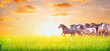 BabesWhoEat sexy nacktheit bilder