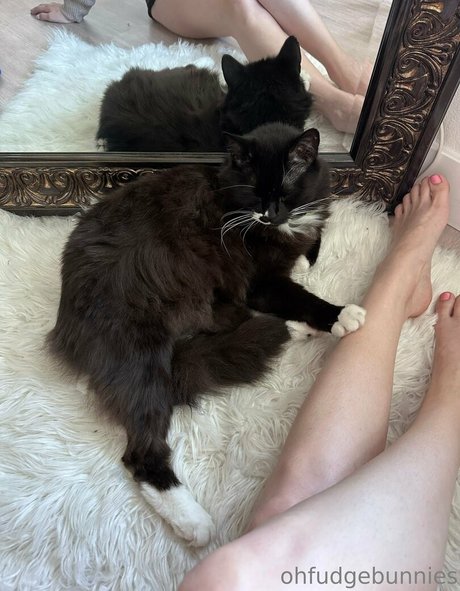 ofudgebunni erotische hübsche foto