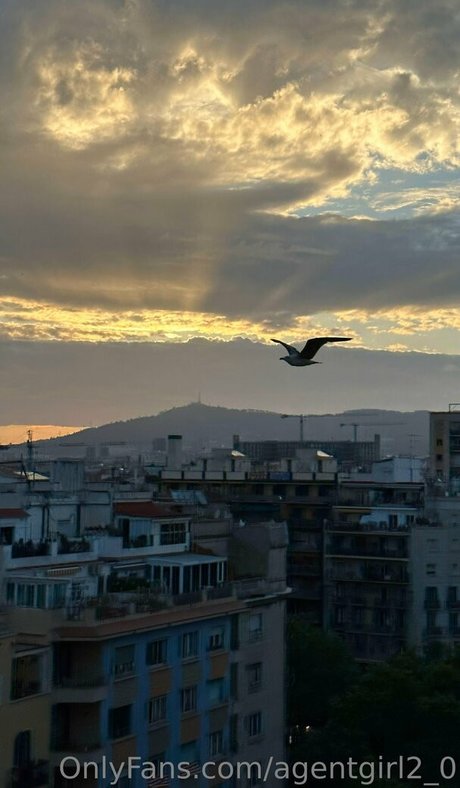 kleiner schwanz shemale onlyfans sexy xxx bild