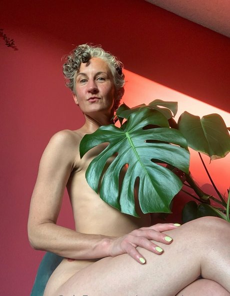 schwule solo-onlyfans hd heiße archiv