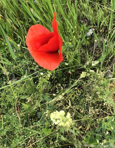 strümpfe nur fans nacktheit galerien