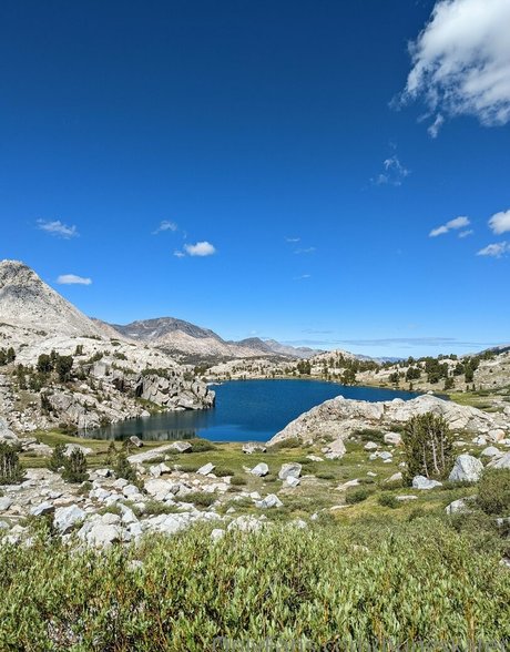 hungskater exklusive xxx bilder