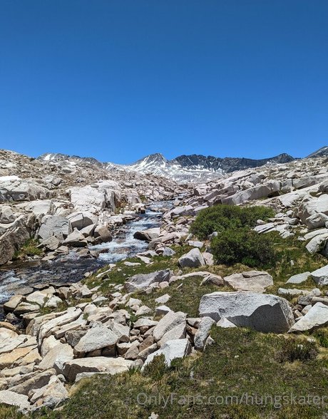 hungskater model heiße archiv