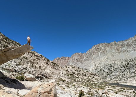 hungskater erwachsene nackte archiv