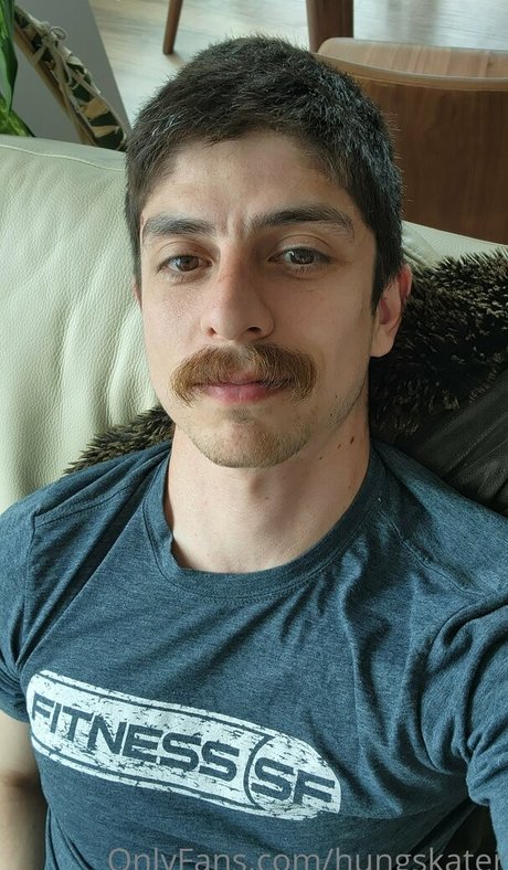 hungskater hübsche foto