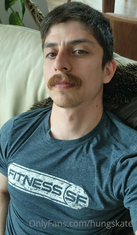 hungskater schöne kostenlose archiv