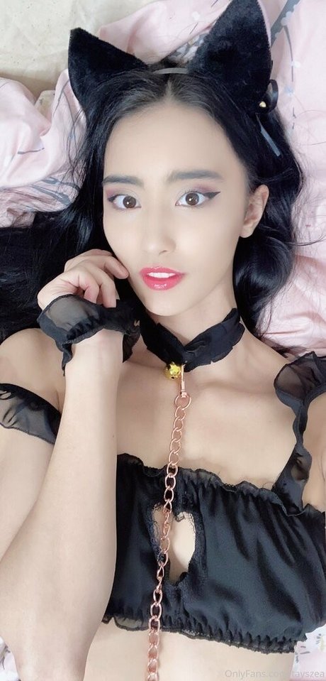 Tayszea freie archiv