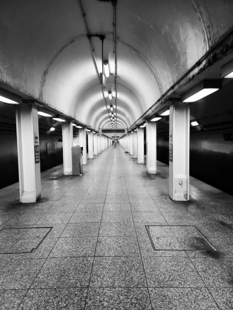 Armand William exklusive perfekte fotos