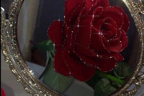 Alivia Elle_ heiße nackten galerien