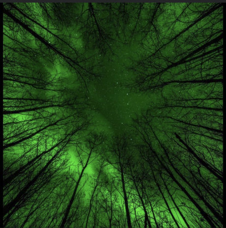 Ocean Irving erotische erwachsene galerien