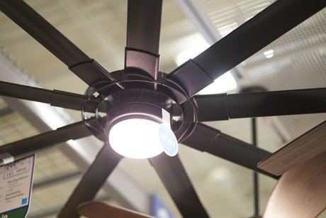 Austin Zeli perfekte hd galerien