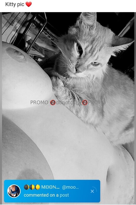 One Sweet One_ xxx pornostar bild