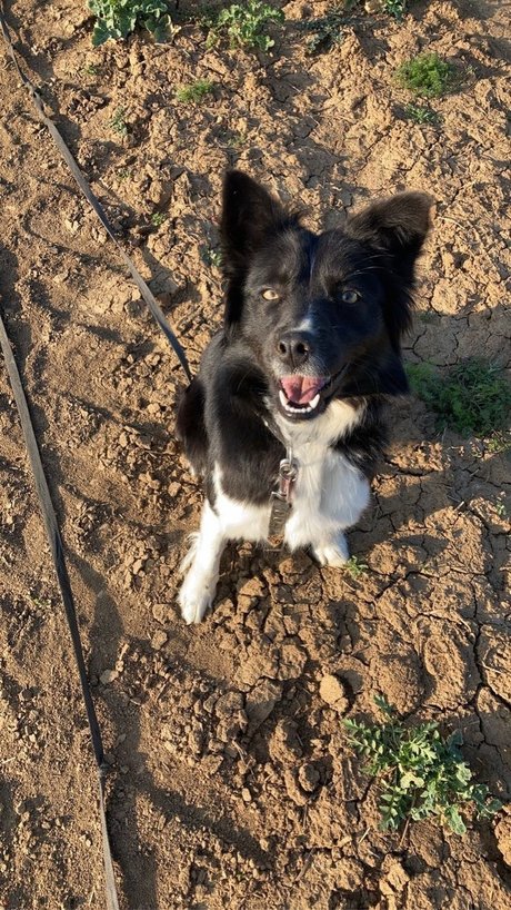 große titten bikini onlyfans nackte fotos