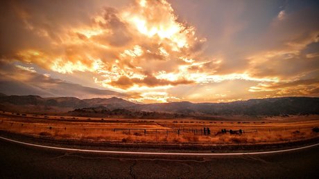 Peach blossom xxx schöne galerien