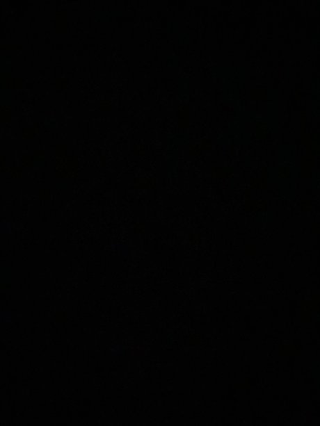 The animal hübsche erwachsene archiv