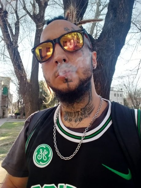 Puchy kunst schöne foto