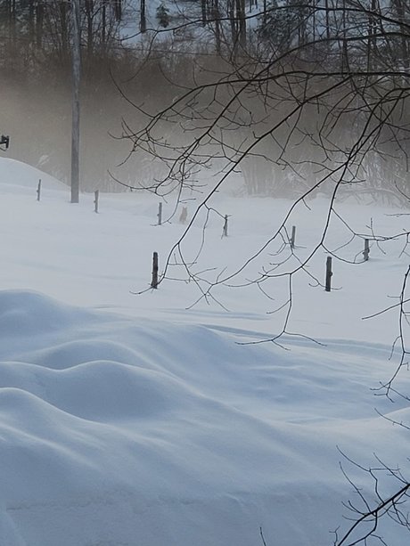 Couple6225 nackt pornographische foto