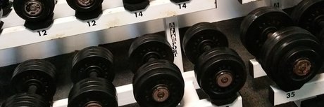 Pony Tails kunst top fotos