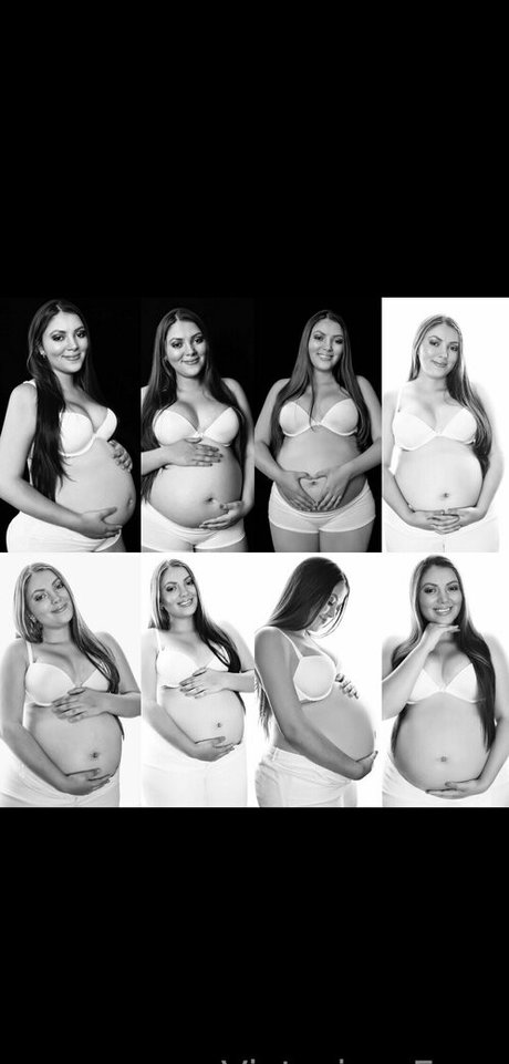 bu1terfly hd top bilder