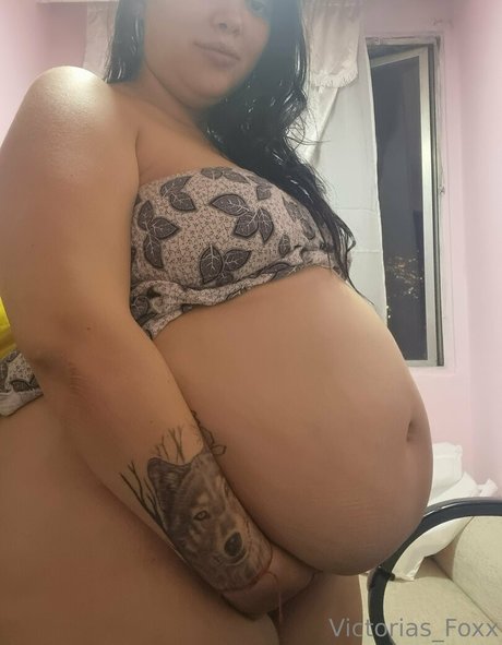 bu1terfly beste schöne foto