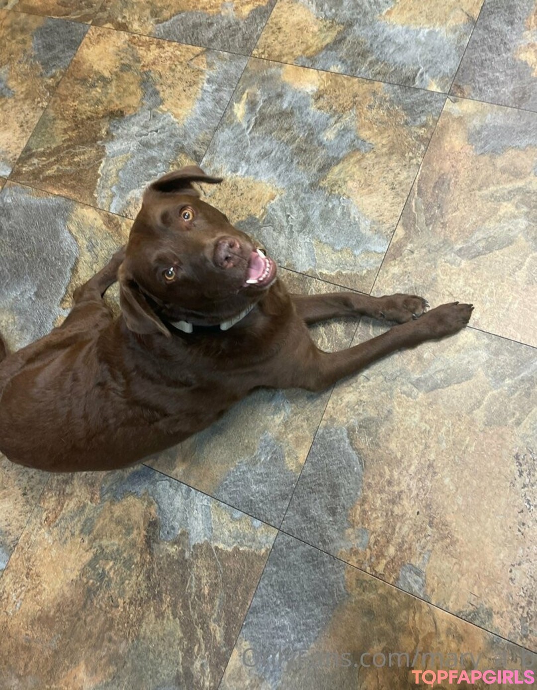 mary a b model hd foto