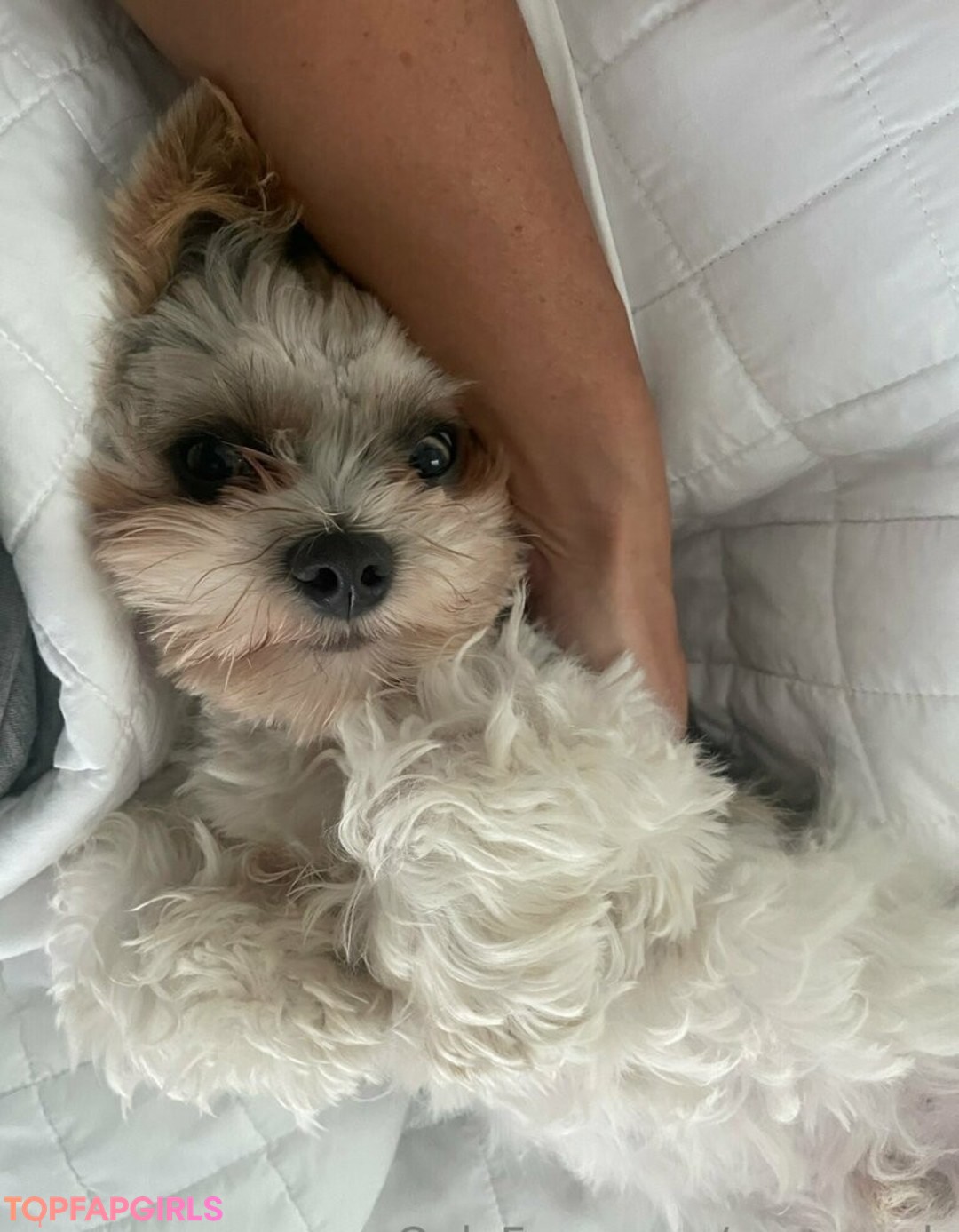 mary a b nacktheit top galerie