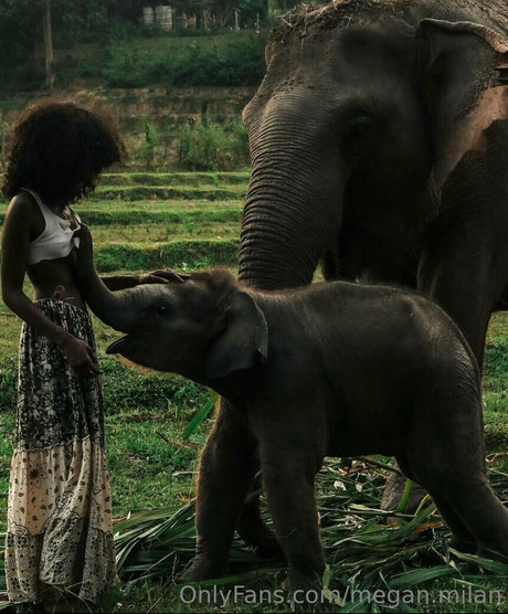 anal-milf-onlyfans porno fotos