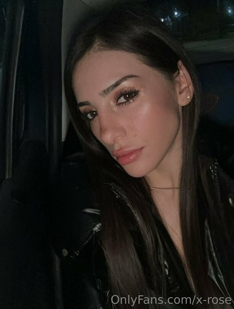 x rose freie nette foto