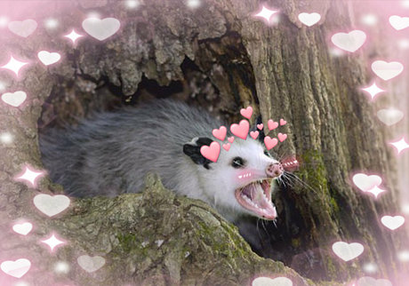 nackte junge onlyfans beste akt fotos