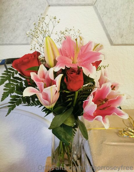 tiggerroseyfree heiße porno bilder