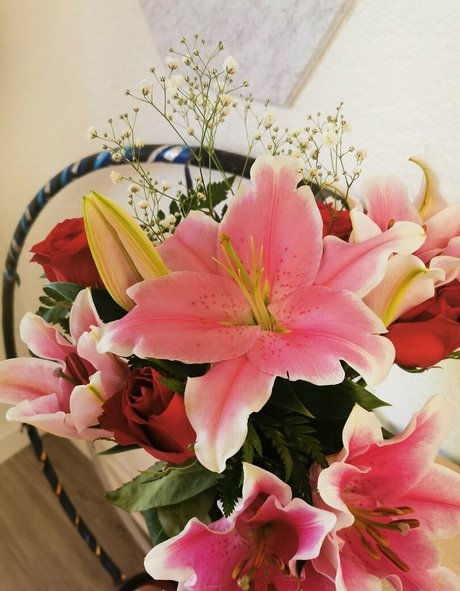 tiggerroseyfree nacktheit schöne galerie