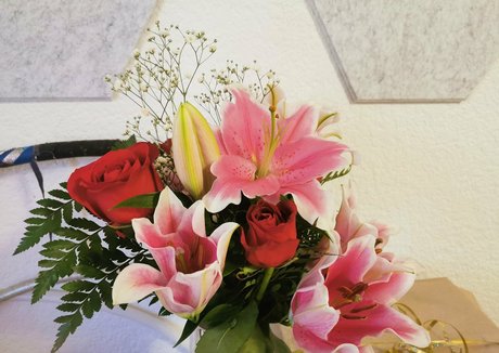 tiggerroseyfree Fotoaufnahmen