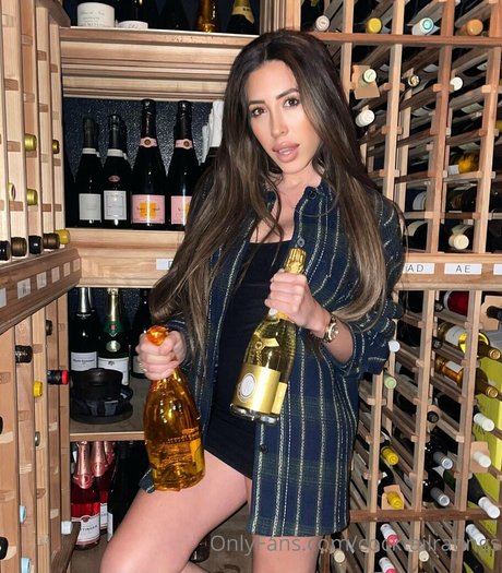 torgalore kostenlose foto