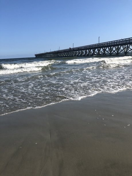 Allyson hübsche nette bild